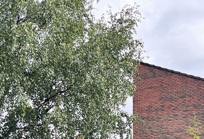 Verdal Fremside